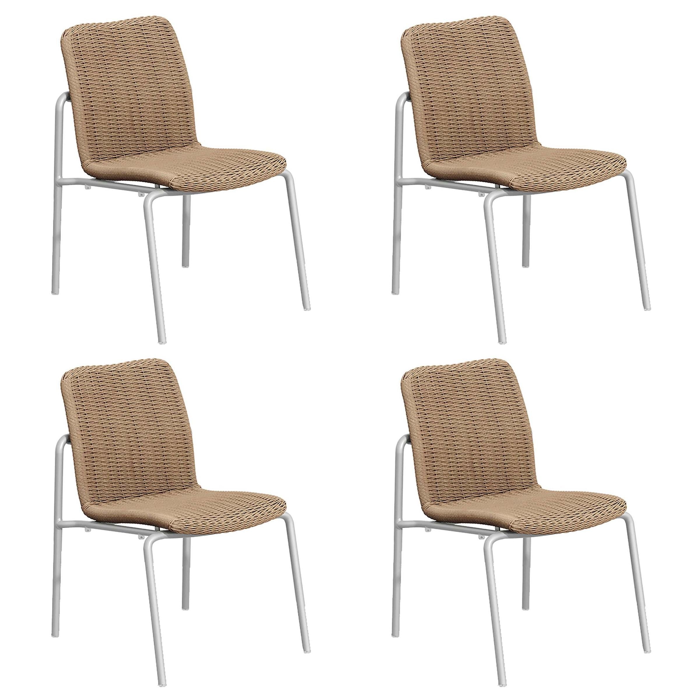 Orso Side Chair - Set Of 4