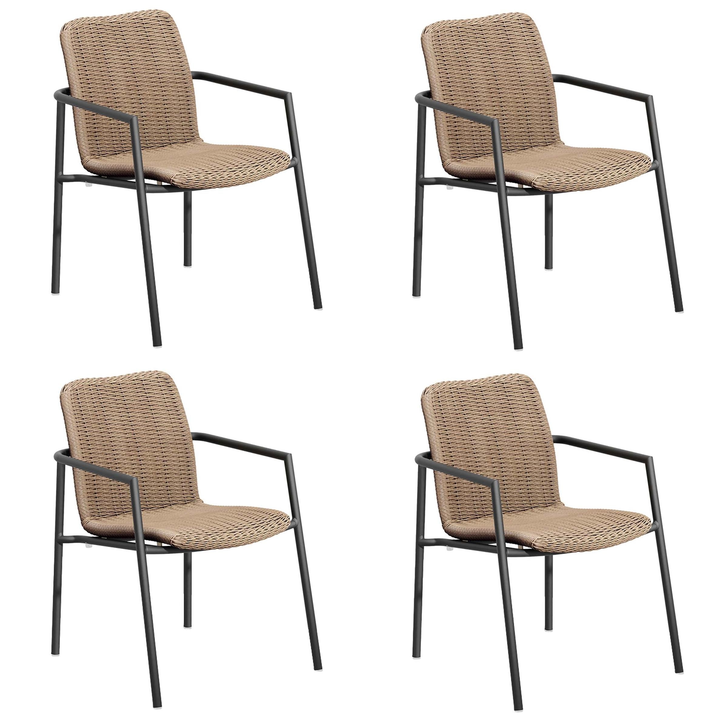 Orso Armchair - Set Of 4