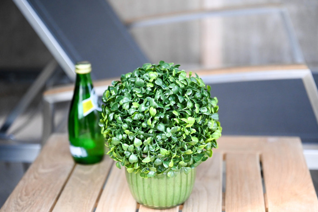 Three Birds Casual Avanti