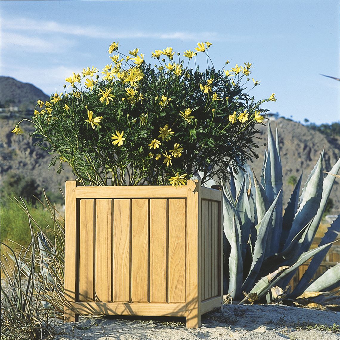 Kingsley Bate Planters