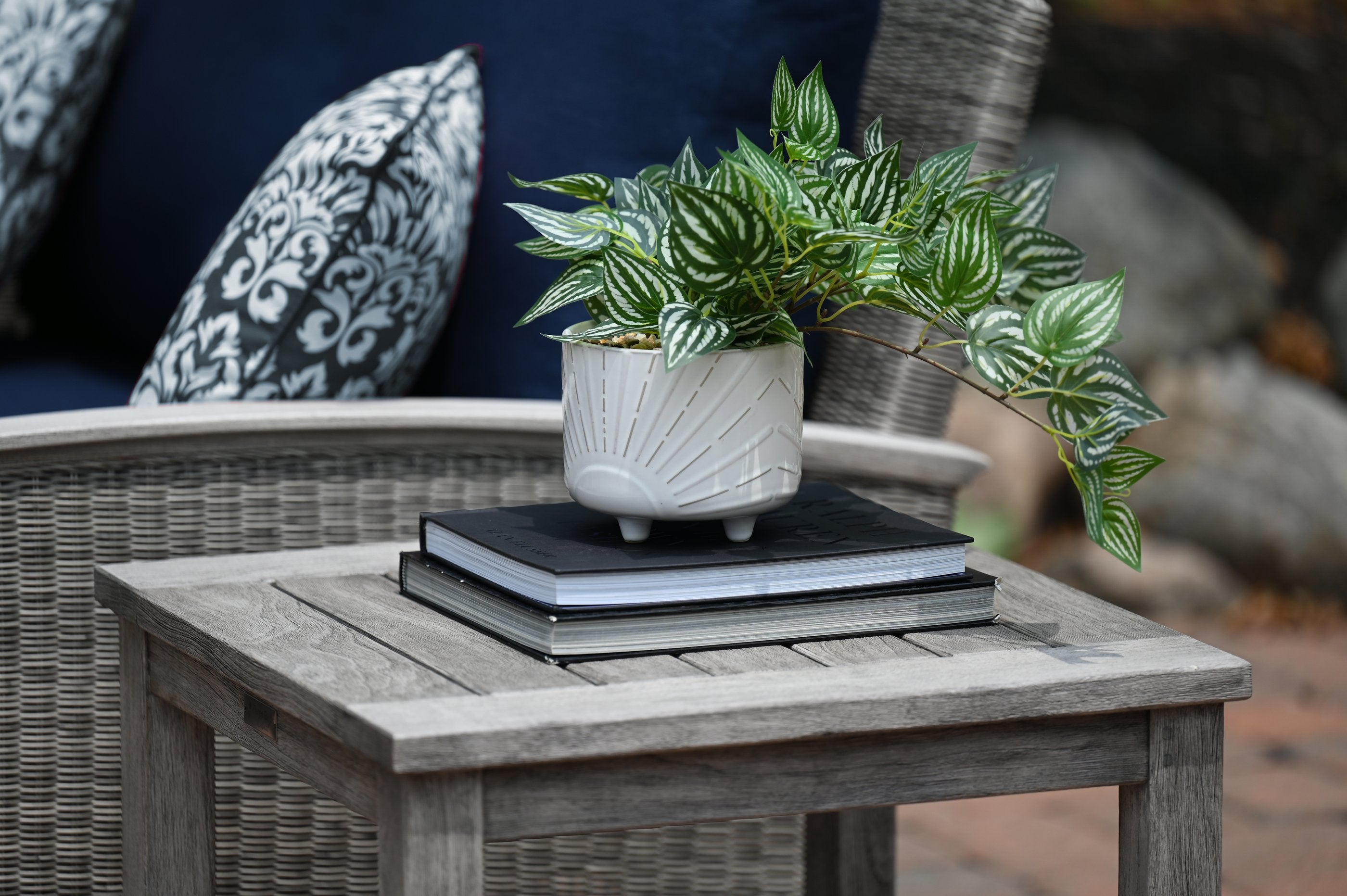 Three Birds Casual Shelburne