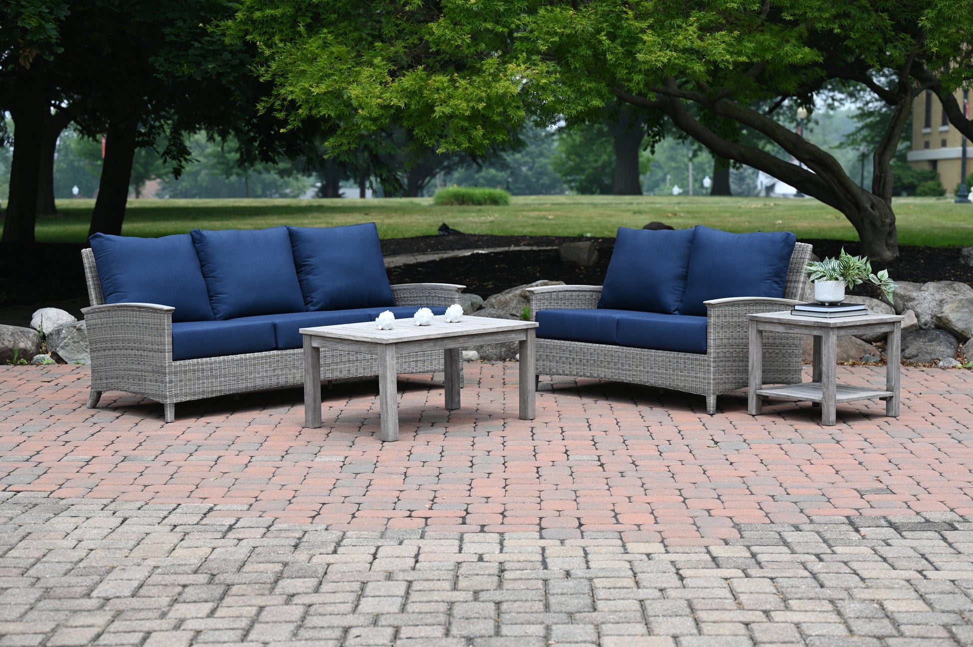 Three Birds Casual Bella