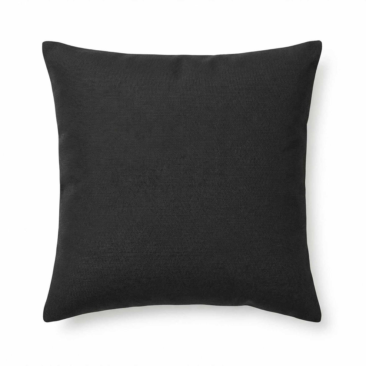 Berlin Gardens Lily Hive 20x20 fitted throw pillow in Canvas Black