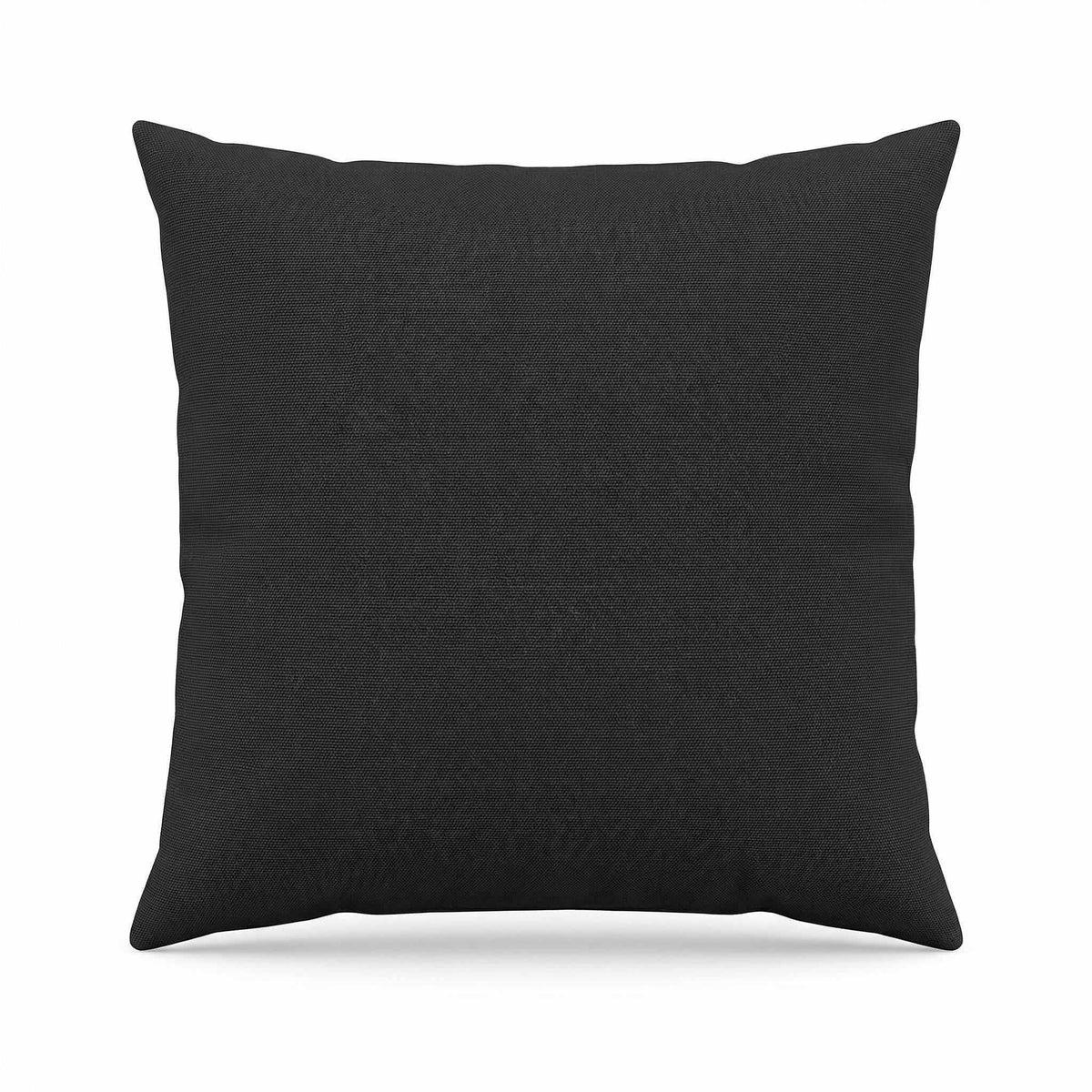 Berlin Gardens Lily Hive 24x24 fitted throw pillow in Canvas Black
