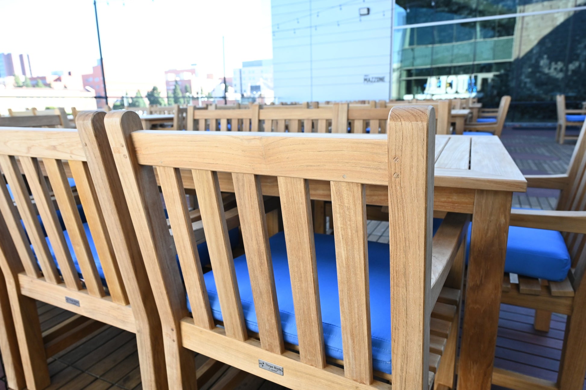 Three Birds Casual Classic