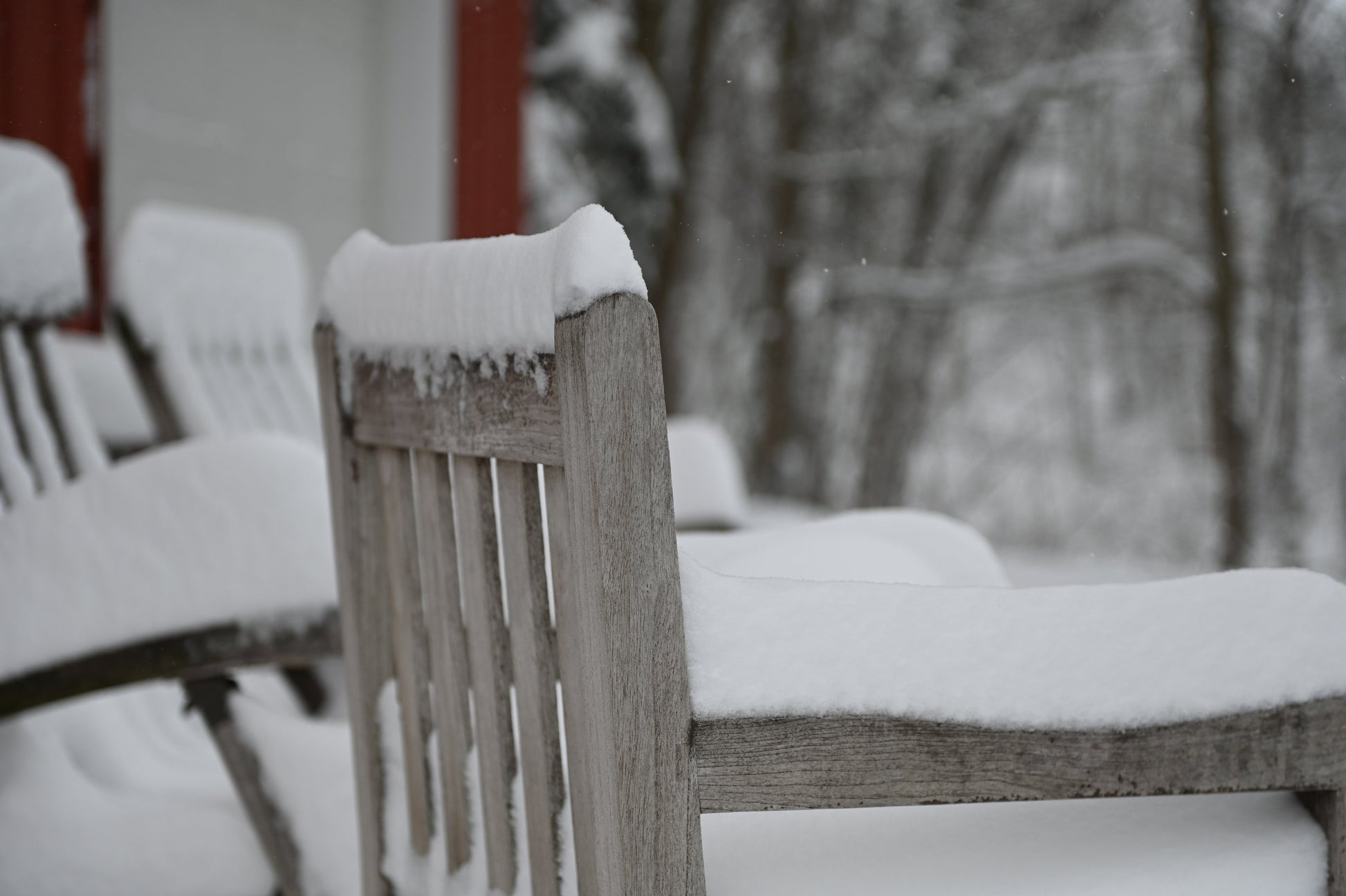 Three Birds Casual Classic