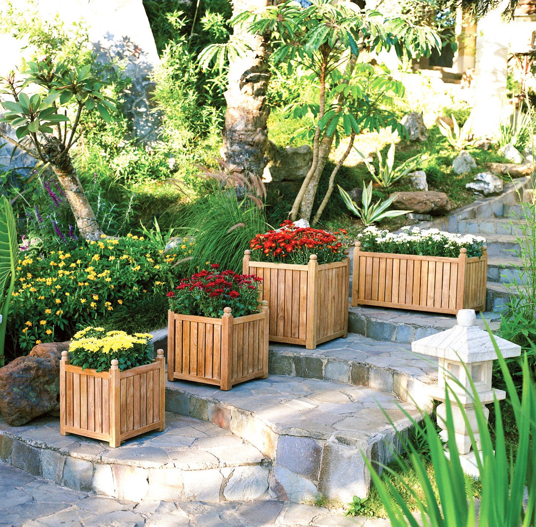 Three Birds Casual Accessories