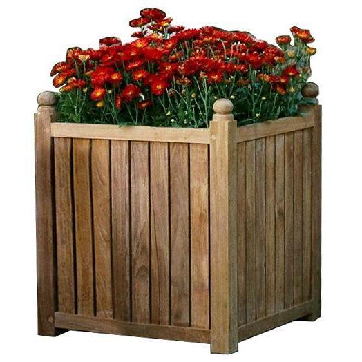 Large Flower Box