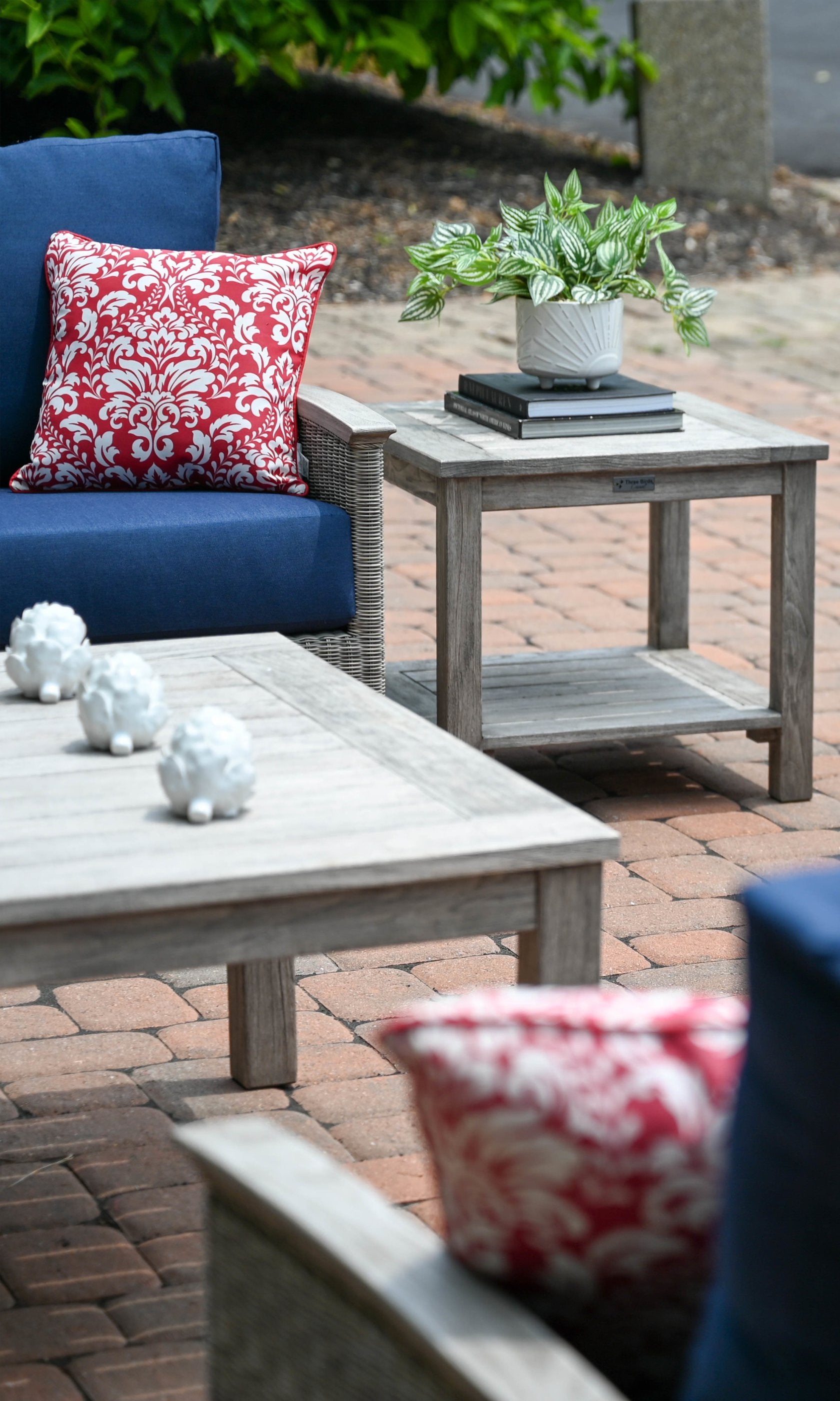 Three Birds Casual Bella