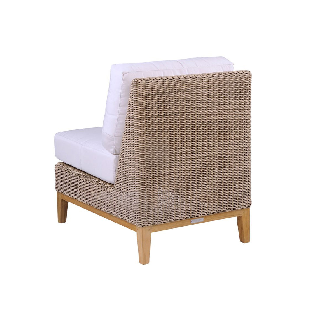 Frances Sectional - Armless Chair