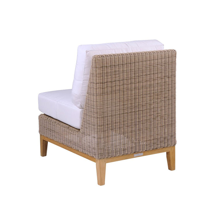 Frances Sectional - Armless Chair