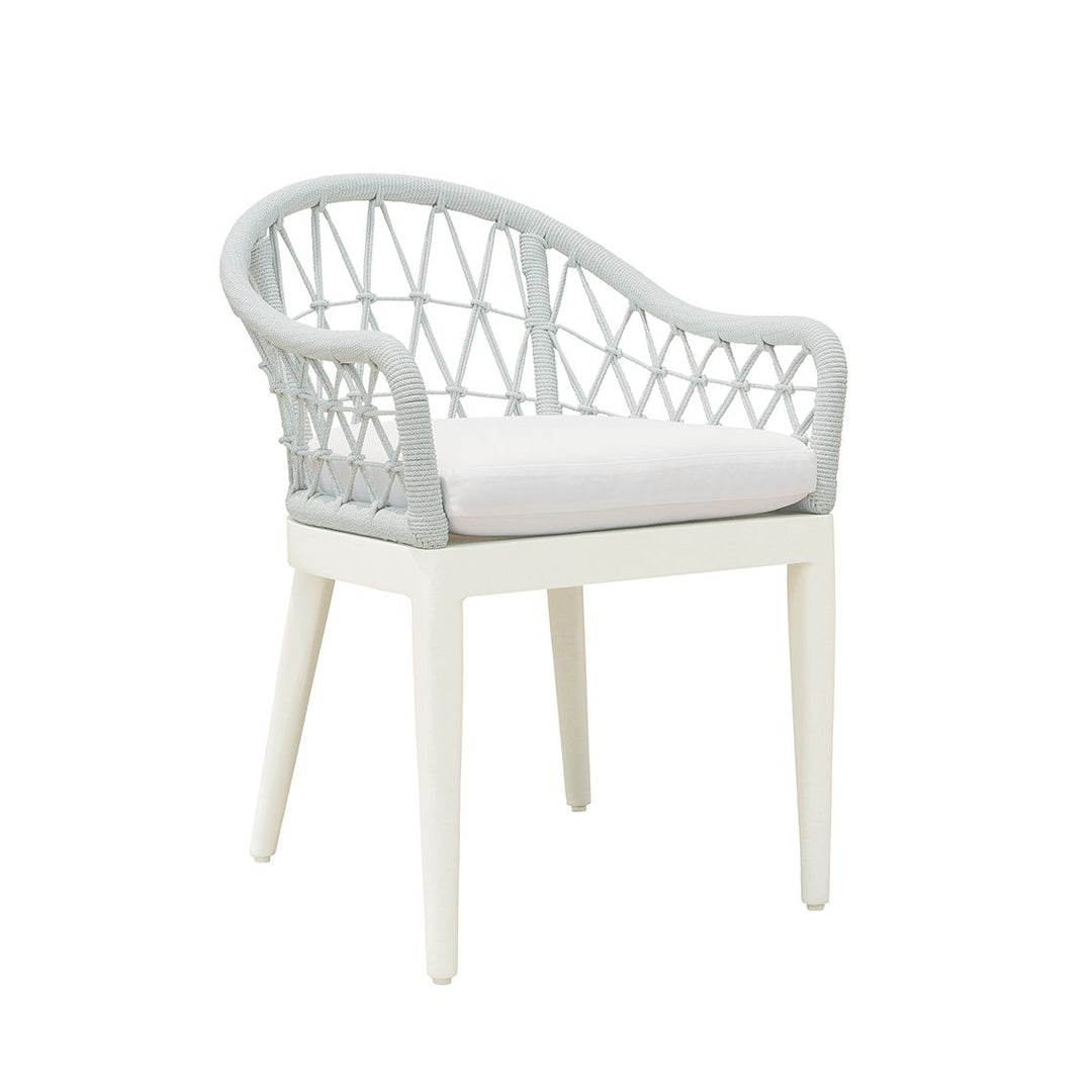 Nevis Dining Arm Chair
