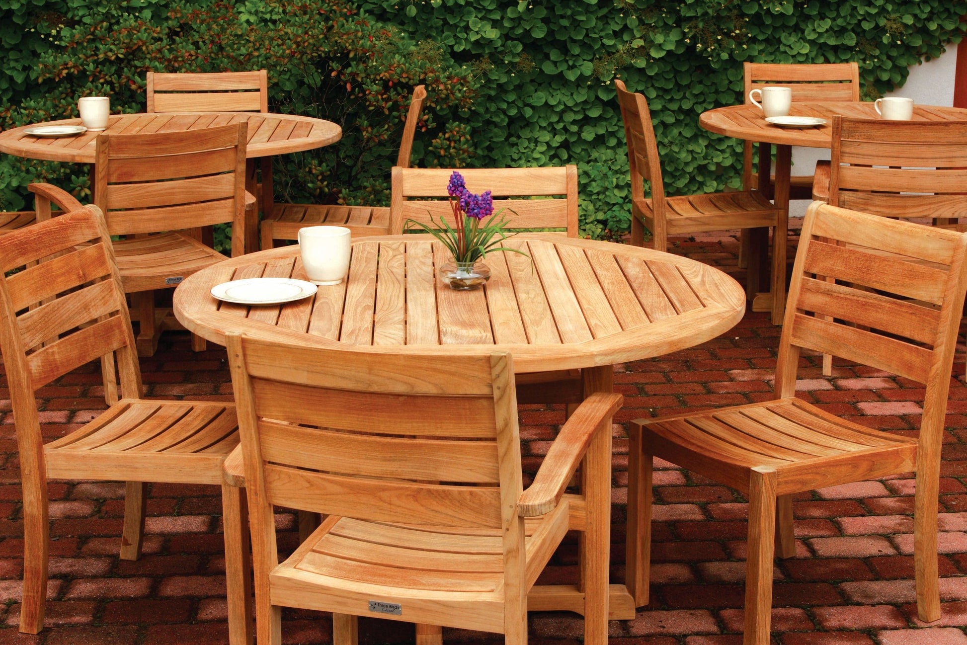 Three Birds Casual Sedona