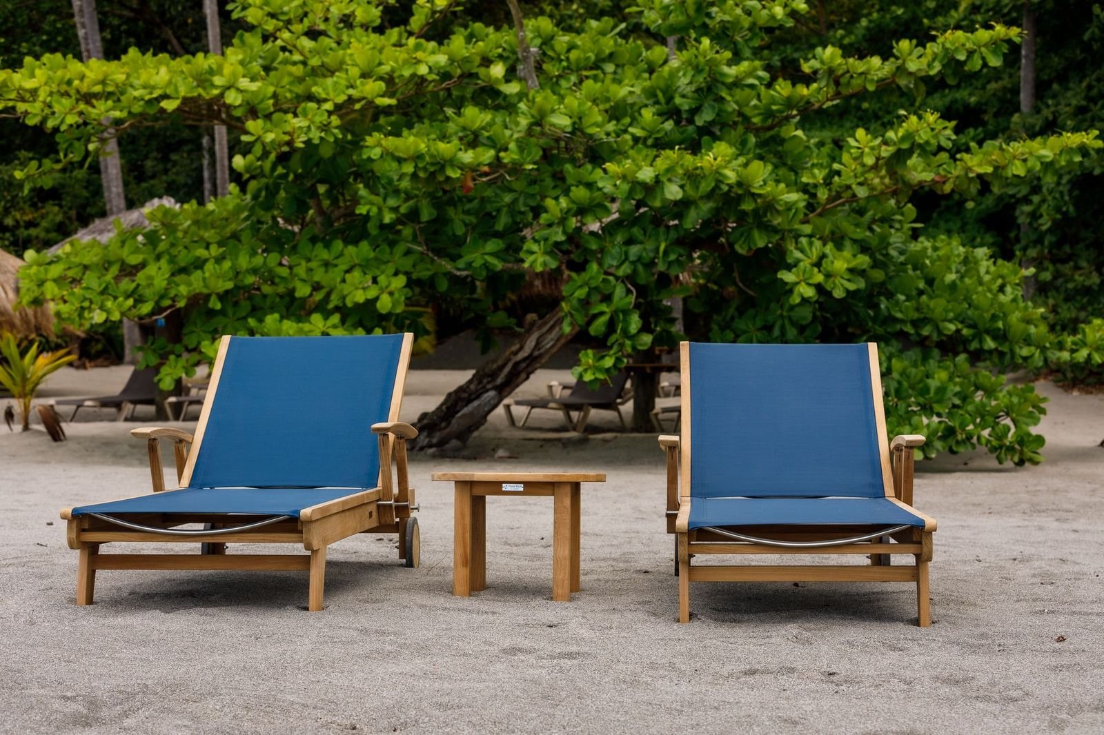 Three Birds Casual Canterbury