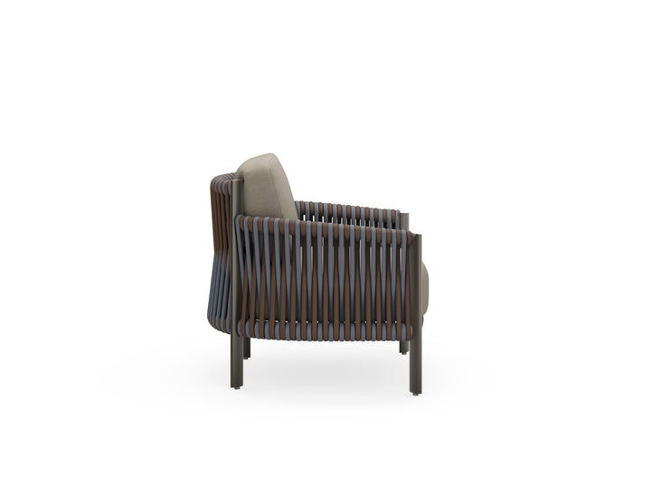 Eve Lounge Chair
