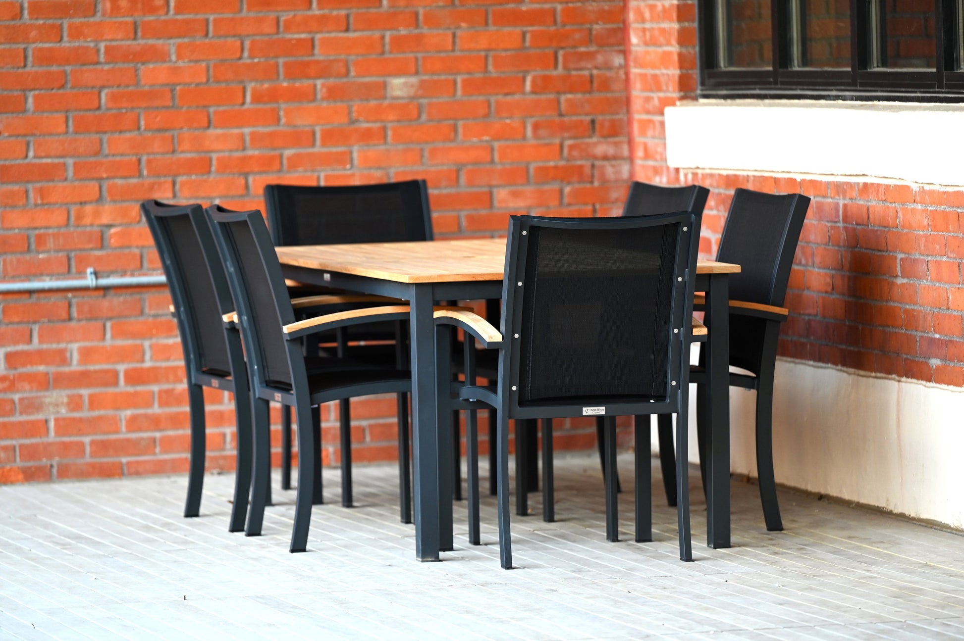 Three Birds Casual Tribeca