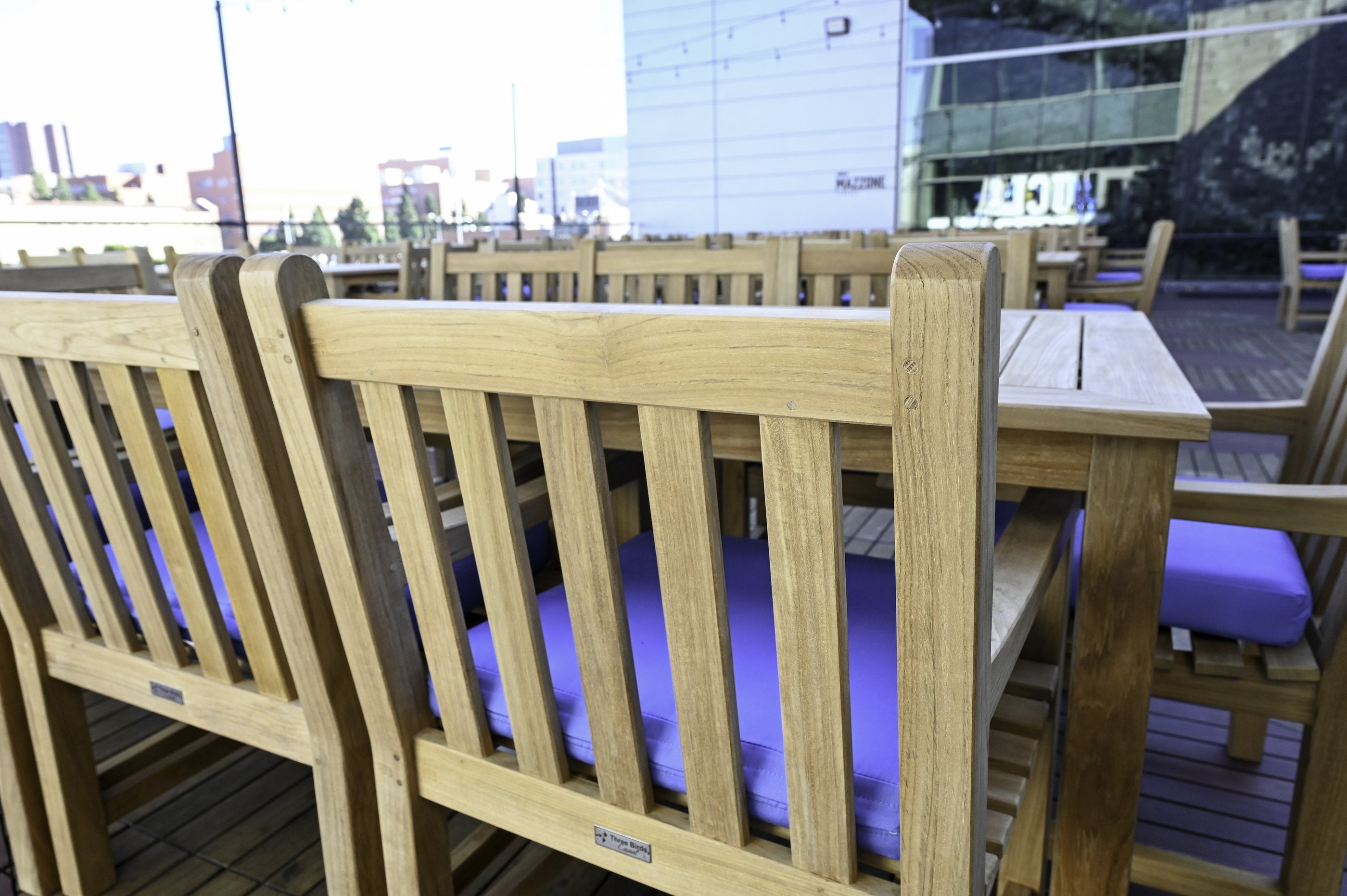 Three Birds Casual Classic