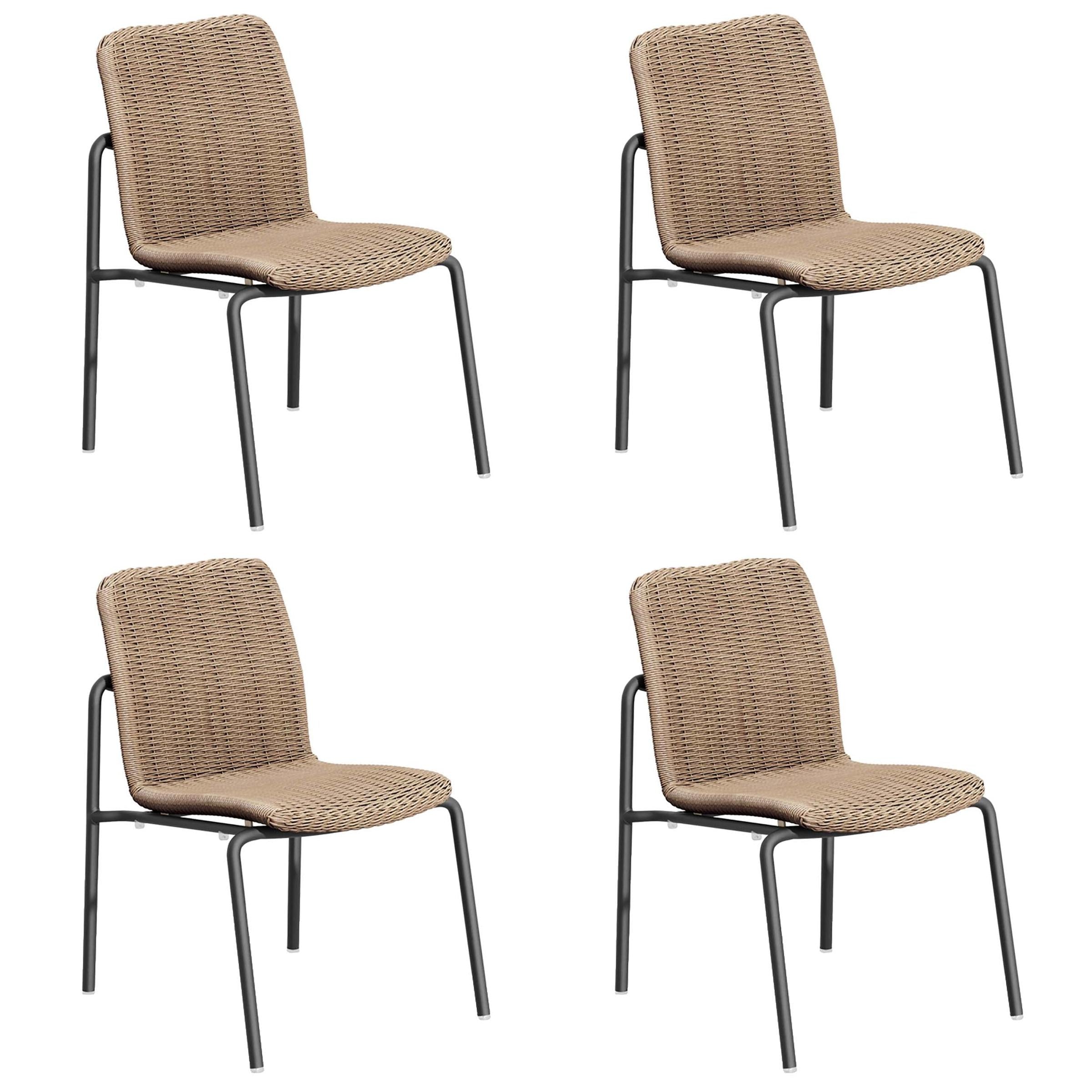 Orso Side Chair - Set Of 4